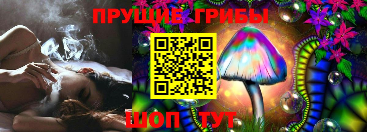 Кириши  Псилоцибиновые грибы Psilocybe  Вход с VPN  Псилоцибиновые грибы Cubensis 