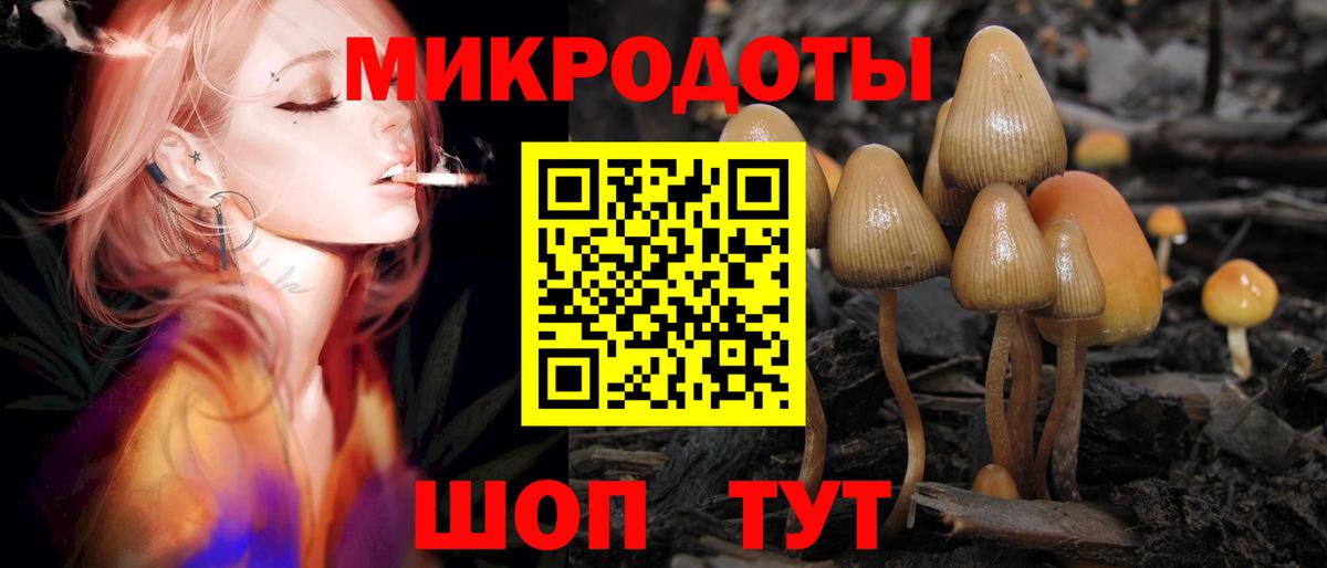 Псилоцибиновые грибы GOLDEN TEACHER Кириши